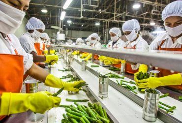 food-processing-business-facility food-processing-business-facility